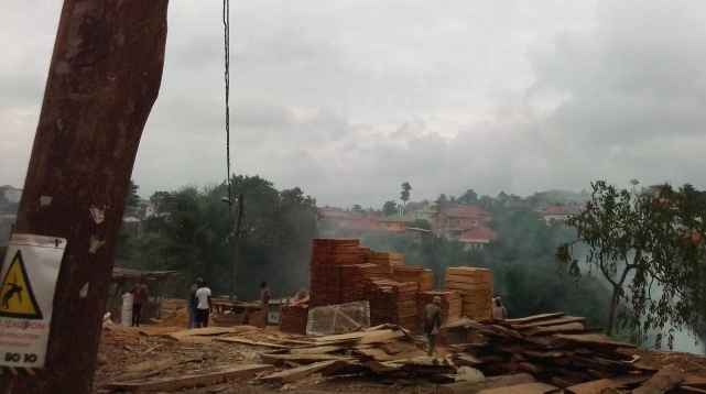 Les forêts tropicales humides du Cameroun. Une première approche